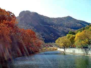 新澳天天开奖资料大全旅游团，旺拉虫草